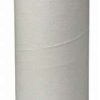 White paper towel roll