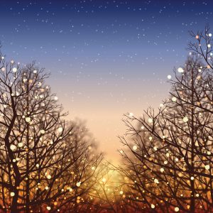 Trees with sparkling lights under an evening sky